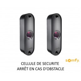 Moteur portail battant - AXOVIA 3S io - PACK CONFORT - SOMFY 1216596