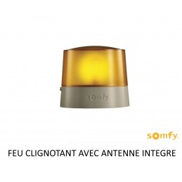 Moteur portail battant - AXOVIA 3S io - PACK CONFORT - SOMFY 1216596