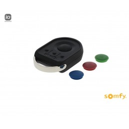 Moteur portail battant - AXOVIA 3S io - PACK CONFORT - SOMFY 1216596