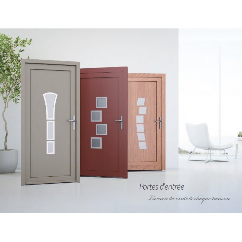 Porte d'entrée en ALU