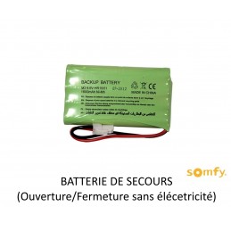 Batterie de secours pour portail et garage - Somfy 9001001-2400720